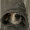 nelsonkhizz