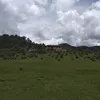 leovargas1606