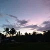 bgefjh
