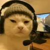 missaimx_