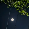 suhan_911