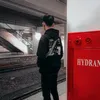 zzdes17