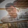 snalion17