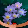 nhuinguyen60