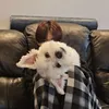 blaniiz_o