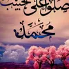mhmabnadir1133