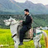 hamo_siyari
