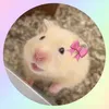 mochi..the.hamster