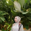 ananda.log