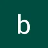 bonitaknappenberger