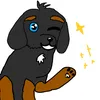 charleypuppy1
