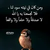 user2540997895949
