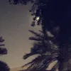 stxrhani