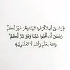 mohamed.altayeb24