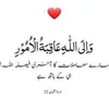 shereyarali787