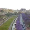 mageedalaassere