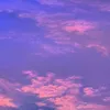 user17292618191918