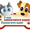user29878181132