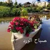 jaberalkhaldy