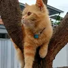 hidupyangdimudahkan