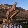 3mmraann