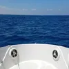 aledelmo72