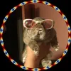 rabbit4237