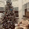 batya_anev