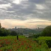 adriangmail45