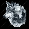 alpha_omega_30