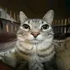 riyad.r.i.d