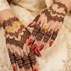 shahzadi_typs2