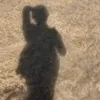ornado0