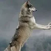 jdjjddhskhd8dbehey73ie