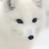 gjgxhx
