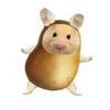dgsorufa