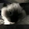 kitagawa987