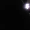 tiktok.commagatrump