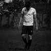 joselegal14