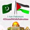 qasim.khan736