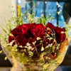 mehnoor.hasan0
