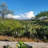 refugio594