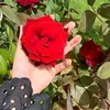 useri8xgokvbit0