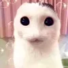 itsgraciegirl0