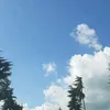 w_herr