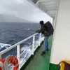 kingranger24