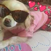 lulu_bel2
