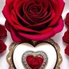 khadim.hussain7706