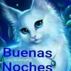 user3817791853105