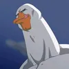 alkatrazbein